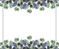 Watercolor hand painted nature squared border line banner with purple lavender flower, blackberry branch and eucalyptus green leav