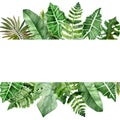Watercolor hand painted nature summer jungle banner frame with different green tropical leaves Royalty Free Stock Photo