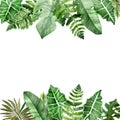 Watercolor hand painted nature summer jungle banner frame with different green tropical leaves Royalty Free Stock Photo