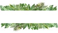 Watercolor hand painted nature summer jungle banner with green tropical different leaves and branches