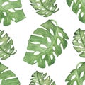 Watercolor hand painted nature summer season seamless pattern with green palm leaves composition isolated on the white background Royalty Free Stock Photo