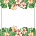 Watercolor hand painted nature tropical banner border frame with green palm leaves and pink blossom plumeria flowers Royalty Free Stock Photo