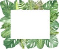 Watercolor hand painted nature tropical border frame with green different palm jungle monstera leaves bouquet