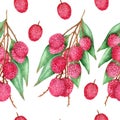 Watercolor hand painted nature tropical exotic seamless pattern with pink lychee fruit on branch and green leaves composition