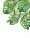 Watercolor hand painted nature tropical greenery composition with green palm monstera leaves bouquet Royalty Free Stock Photo