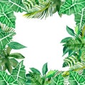 Watercolor hand painted nature tropical squared border frame with different green palm jungle leaves Royalty Free Stock Photo