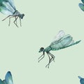Watercolor Hand Painted Nature Wild Insects Composition Seamless Pattern With Blue Dragonfly With Wings