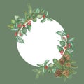 Watercolor hand painted nature winter holiday plants circle frame with green fir branches, brown cones and red holly berries leave Royalty Free Stock Photo