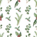 Watercolor hand painted nature winter holiday plants seamless pattern with green fir branches, eucalyptus leaves and red holly ber Royalty Free Stock Photo