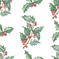 Watercolor hand painted nature winter holiday plants seamless pattern with holly branches with green leaves and red berries Royalty Free Stock Photo