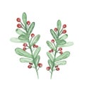 Watercolor hand painted nature winter holiday set illustration with holly red berries and green leaves on branch christmas plants Royalty Free Stock Photo