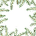 Watercolor hand painted nature winter holiday squared frame with green fir needles on branches composition Royalty Free Stock Photo