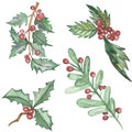 Watercolor hand painted nature winter season plants set with green leaves, branches and red berries holly bouquet Royalty Free Stock Photo