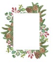 Watercolor hand painted nature winter squared border frame with green fir branches, eucalyptus leaves, brown pine cones and red be Royalty Free Stock Photo