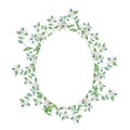 Watercolor hand painted openwork round frame bergamot plant, with white flowers on the branches with green leaves. Royalty Free Stock Photo