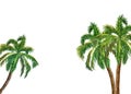 Watercolor hand painted palm illustration, isolated on white background. A bunch of three palm trees painting. Summer tropical Royalty Free Stock Photo