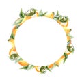 Watercolor hand painted persimmon wreath. Fresh orange persimmon round frame for concept design