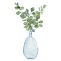 Watercolor hand painted plants in glass vase with branches eucalyptus. Eco home natural minimalistic illustration.