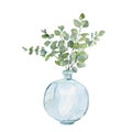 Watercolor hand painted plants in glass vase with branches eucalyptus. Eco natural minimalistic illustration for greeting card. Royalty Free Stock Photo