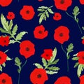 Watercolor hand painted poppies seamless pattern. Red poppie flowers meadow with green leaves on navy blue background Royalty Free Stock Photo