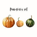 Watercolor hand painted realistic illustrations of 3 ripe orange and green pumpkins.