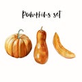 Watercolor hand painted realistic illustrations of 2 ripe orange pumpkins and 1 piece of pumpkin.