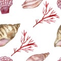 Watercolor hand painted sea nature seamless pattern with red coral, pink, brown and yellow different shape seashell Royalty Free Stock Photo