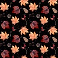 Watercolor hand painted seamless pattern with autumn leaves, alder branches, cones and rose hip beries on black background. Royalty Free Stock Photo