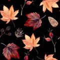 Watercolor hand painted seamless pattern with autumn leaves, alder branches, cones and rose hip beries on black background. Royalty Free Stock Photo