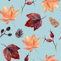 Watercolor hand painted seamless pattern with autumn leaves, alder branches, cones and rose hip beries on dark background.