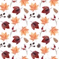 Watercolor hand painted seamless pattern with autumn leaves, alder branches, cones and rose hip beries on white background.