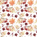 Watercolor hand painted seamless pattern with autumn leaves, rowan branches on white background. Perfect for fall or thanksgiving