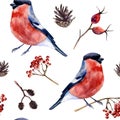 Watercolor hand painted seamless pattern with bullfinch, cones and branches of rowan, rose hip and alder on white background.