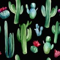 Watercolor hand painted seamless pattern with different cactuses on black background