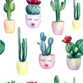 Watercolor hand painted seamless pattern with different cactuses in flower pots on white background Royalty Free Stock Photo