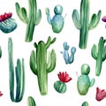 Watercolor hand painted seamless pattern with different cactuses on white background Royalty Free Stock Photo