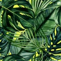 Watercolor hand painted seamless pattern with green tropical leaves of monstera, banana tree and palm on yellow background Royalty Free Stock Photo