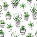 Watercolor hand painted seamless pattern of houseplants