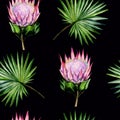 Watercolor hand painted seamless pattern with protea flowers and palm leaves on black  background Royalty Free Stock Photo