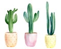 Watercolor hand painted set of 3 cactuses in pink and yellow flower pots. Isolated elements on white background