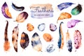 Watercolor hand painted set with 19 elements