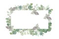 Watercolor hand painted square frame with silver dollar eucalyptus leaves and branches Royalty Free Stock Photo