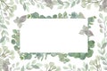 Watercolor hand painted square frame with silver dollar eucalyptus leaves and branches Royalty Free Stock Photo