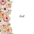 Watercolor hand painted vintage flowers background. Nature spring banner design roses, anemones, peonies isolated on white backgro Royalty Free Stock Photo