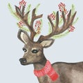 Watercolor hand painted wild nature winter holiday composition with brown deer and horns