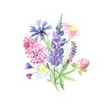 Watercolor hand painted wildflowers, field plants