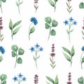 Watercolor hand painted wildflowers seamless digital paper. Spring meadow florals pattern.Field lavender and blue flowers, Royalty Free Stock Photo