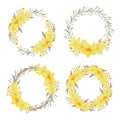 Watercolor hand painted yellow allamanda tropical flower wreath collection Royalty Free Stock Photo