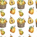 Watercolor hand painted yellow pears in a harvesting basket seamless pattern. Autumn fruits botanical print on white background Royalty Free Stock Photo