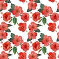 Watercolor hand painting floral seamless pattern with red hibiscus flowers blossom and green leaves on white background, Natural Royalty Free Stock Photo